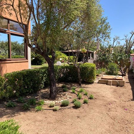 Sardegna - Villa Mirto & Flowers Ольбия Экстерьер фото